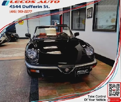 1987 Alfa Romeo Spider Manual Transmission/Very Low KMs/Certi... Image# 1