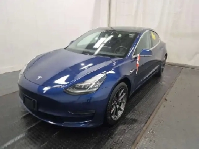 2020 Tesla Model 3 No Accidents l Stndrd Range Plus l Tesla Warr Image# 1