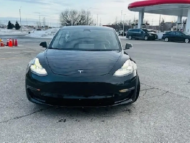 2023 Tesla Model 3 Long Range AWD Image# 1
