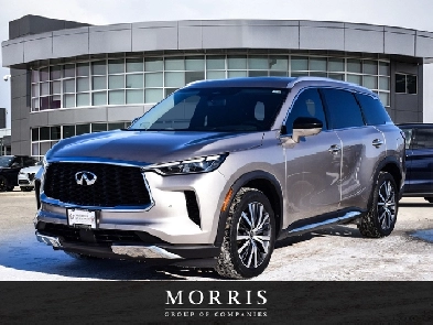 2022 INFINITI QX60 Sensory Image# 1