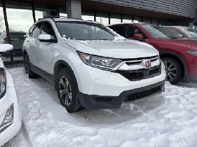 2019 Honda CR-V Image# 1