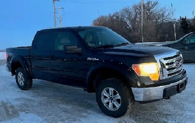 2009 Ford F150, safetied Image# 1