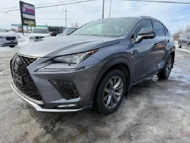 2020 Lexus NX NX 300 AWD F-SPORT 2 Image# 1