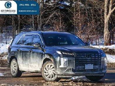 2025 Hyundai Palisade Ultimate Calligraphy Night- Sunroof Image# 1