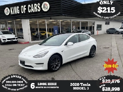 2020 TESLA MODEL 3 Image# 1