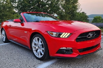 2015 to 2020 Mustang GT Image# 1