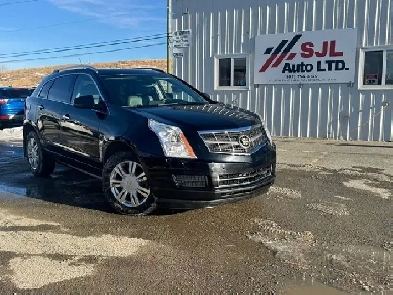 2010 Cadillac SRX Luxury Image# 1