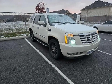 Cadillac Escalade Hybrid  2010 Image# 1