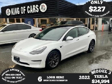 2022 TESLA MODEL 3 Image# 1
