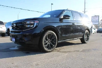 2025 Ford Expedition Platinum Image# 1
