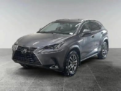 2019 Lexus NX NX 300 / AWD Image# 1