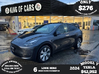 2024 TESLA MODEL Y Image# 1