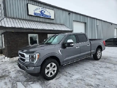 2022 Ford F-150 Crew Cab 4X4 Platinum 3.5L - Rebuilt Title Image# 1