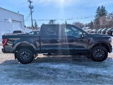 2022 Ford F-150 Tremor Image# 1