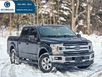 2019 Ford F-150 XLT- Rear Camera - 4x4 Image# 1