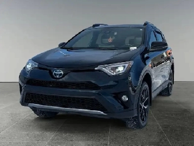 2018 Toyota RAV4 Hybrid SE Image# 1