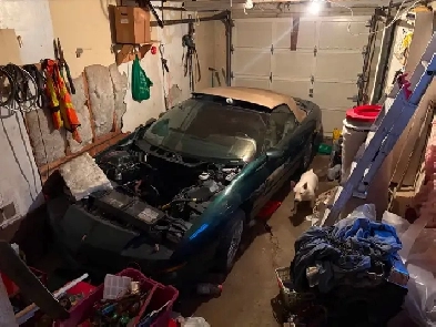 Z28 Convertible 1995 Image# 1