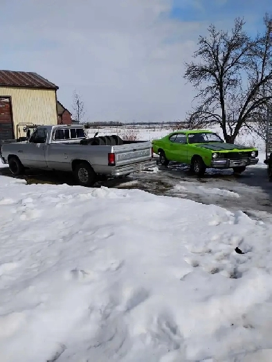 1986 BIG BLOCK RAM Image# 1