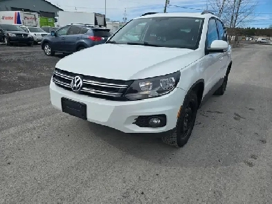 2015 Volkswagen Tiguan Image# 1