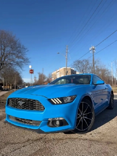 2017 Ford Mustang Fastback EcoBoost | CAMERA | TURBO | 310 HP | Image# 1