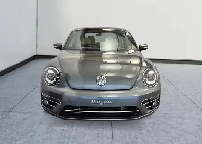 Volkswagen Beetle Image# 1