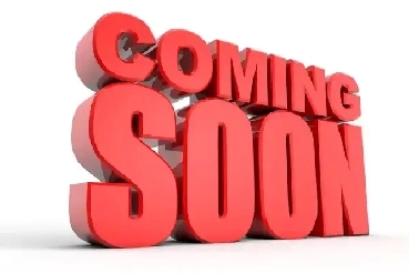 2019 Ram ProMaster Cargo Van 2500 High Roof 136' Inverter Divide Image# 1