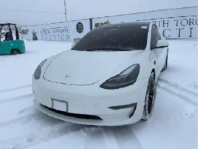 2021 Tesla Model 3 Image# 1