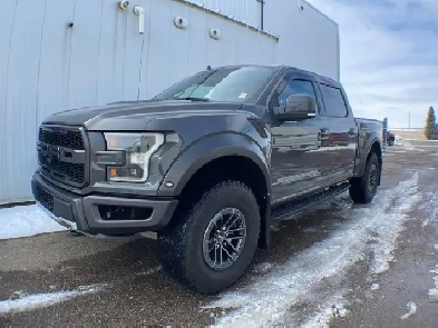 2020 Ford F-150 Raptor Luxury 802A Image# 1