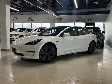 2023 Tesla Model 3 No Accident l StandardRange l RWD l Tesla War Image# 1
