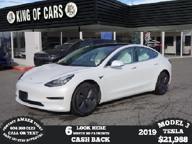 2019 TESLA MODEL 3