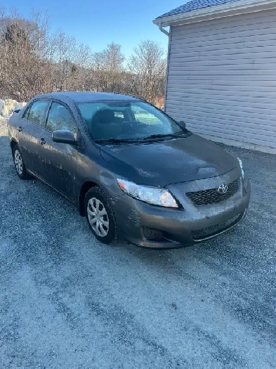 buying Toyota vehicles Corolla Camry matrix rav4