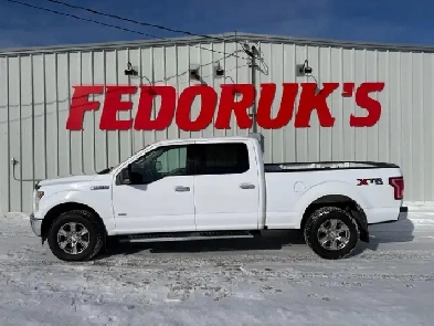 2017 Ford F-150 XLT SuperCrew 6.5-ft. Bed 4WD Image# 1