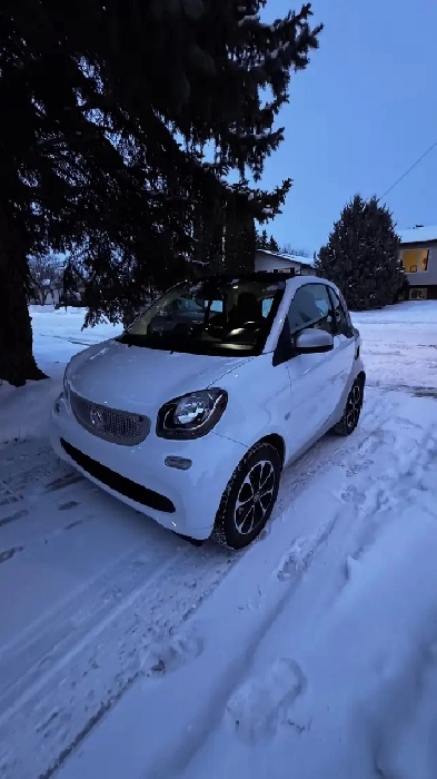 2017 Smart ForTwo Image# 1