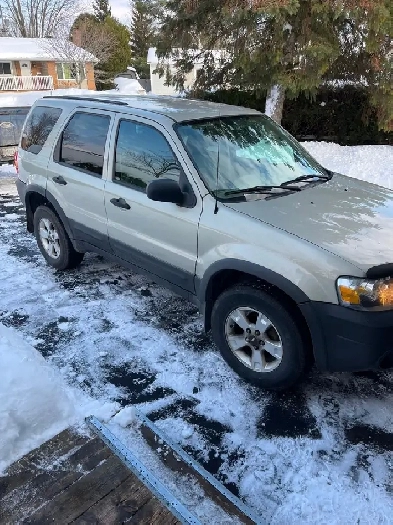 2005 Ford Escape for sale! Image# 1