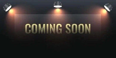 2021 Tesla Model Y LONG RANGE ALLWHEEL DRIVE  NAVI  81000KMS