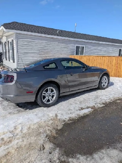 2014Grey Ford Mustang