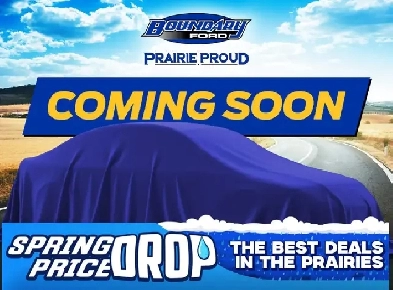 2026 Ford Expedition PLATINUM MAX  STEALTH PERFORMANCE PACKAGE