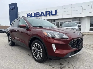 2021 Ford Escape SEL SEL AWD Leather Pano Roof
