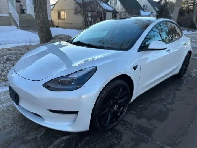 2021 Tesla Model 3 Standard Range Plus or Sale