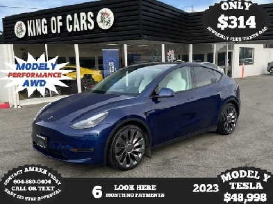 2023 TESLA MODEL Y