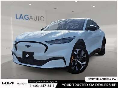 2021 Ford Mustang MachE Premium