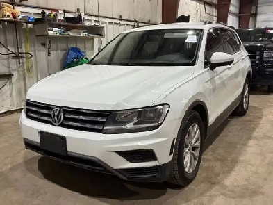 2019 Volkswagen Tiguan No Accidents l Trendline l 4Motion l AWD Image# 1