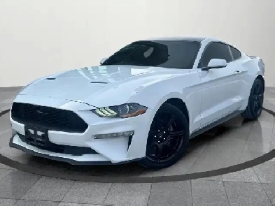 2019 Ford Mustang EcoBoost Ecoboost|Financing Available|Backu... Image# 1