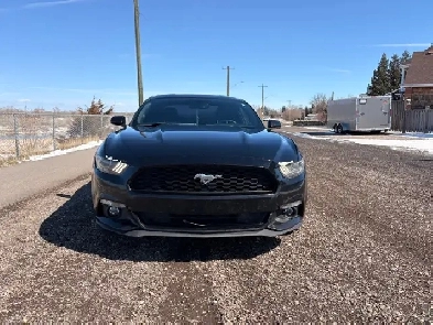 2015 Ford Mustang Image# 1