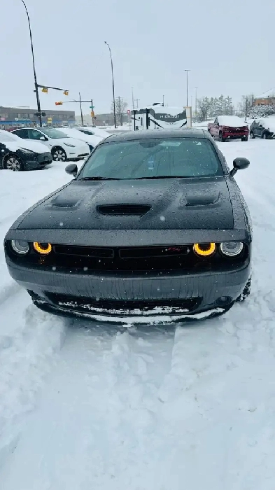 2016 Dodge Challenger 2dr Cpe SXT Image# 1