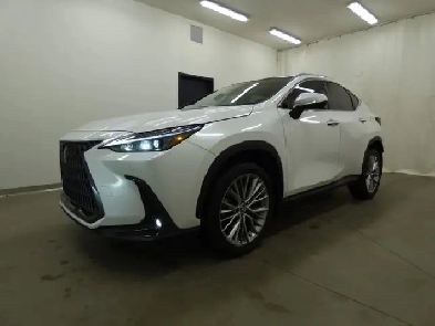 2023 LEXUS NX 350 AWD TOIT PANO CUIR ROUGE CARPLAY FULL