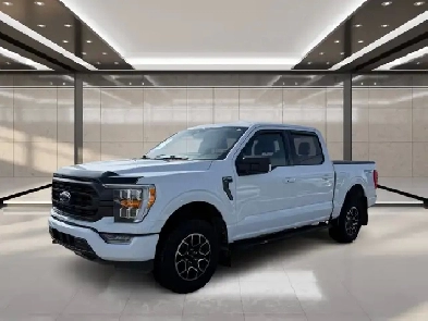 2023 Ford F-150 XLT 4WD SuperCrew 5.5' Box Image# 1