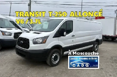 2019 Ford Transit Cargo T250 ALLONG  EXCELLENTE MCANIQUE  C