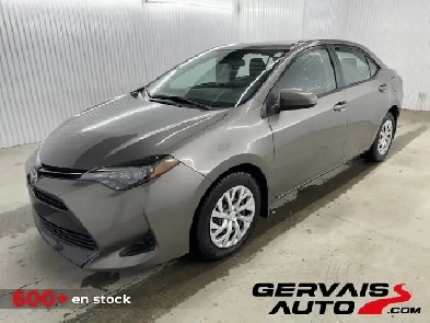 Toyota Corolla LE 2019 Image# 1
