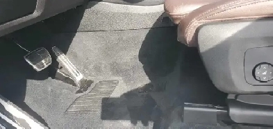 Ottawas 1 Mobile Detailers